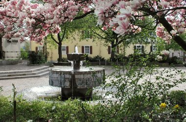Brunnen_vor_Rathaus_mit_Magnolien.jpg