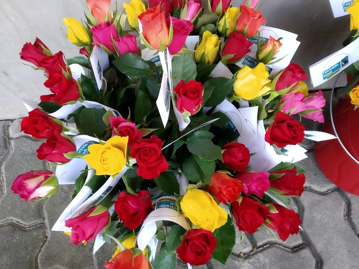 Rosenaktion 2020 Rosenaktion 2020