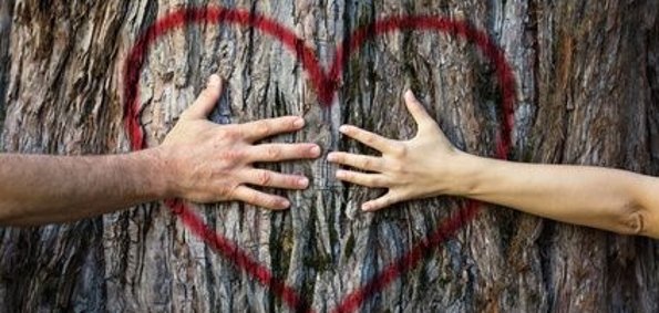 Couple touching heart