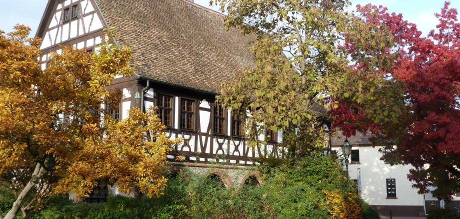 Altes Rathaus im Herbst Altes Rathaus im Herbst