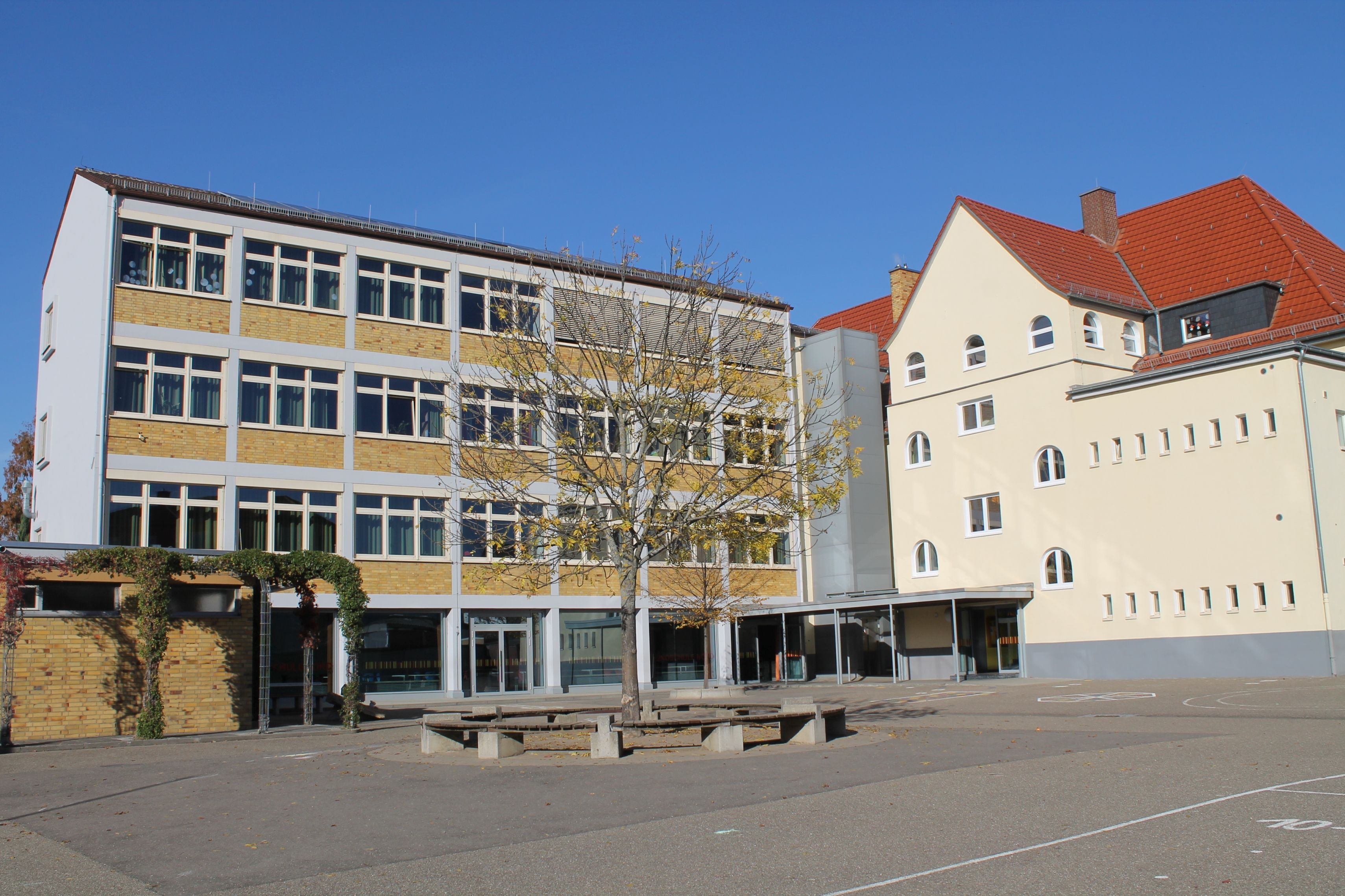 Paul-von-Denis Gymnasium.png