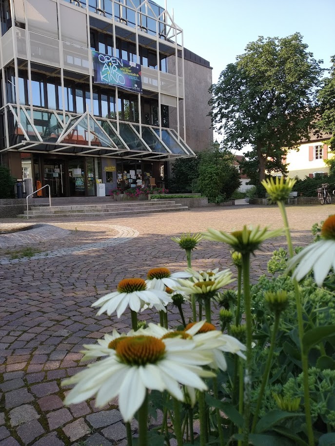 Blick auf Rathaus