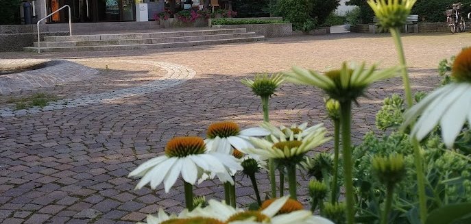 Blick auf Rathaus