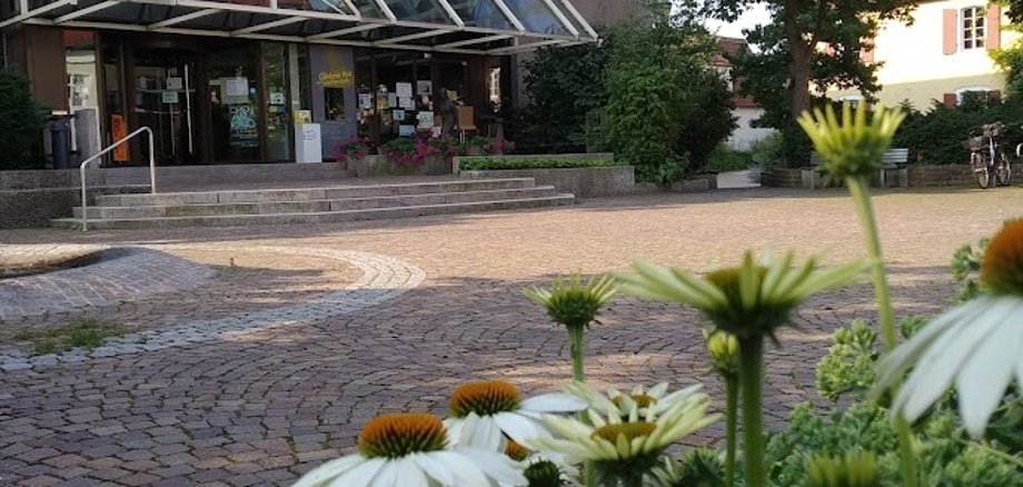Blick auf Rathaus