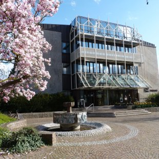 hammer und Bücher © succo - pixabay.com.jpg