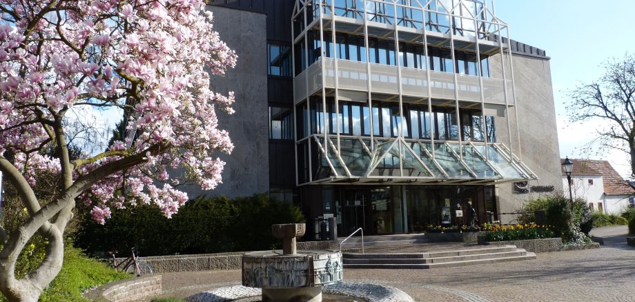 im Vordergrund eine blühende Magnolie und ein Brunnen, im Hintergrund ein Gebäude