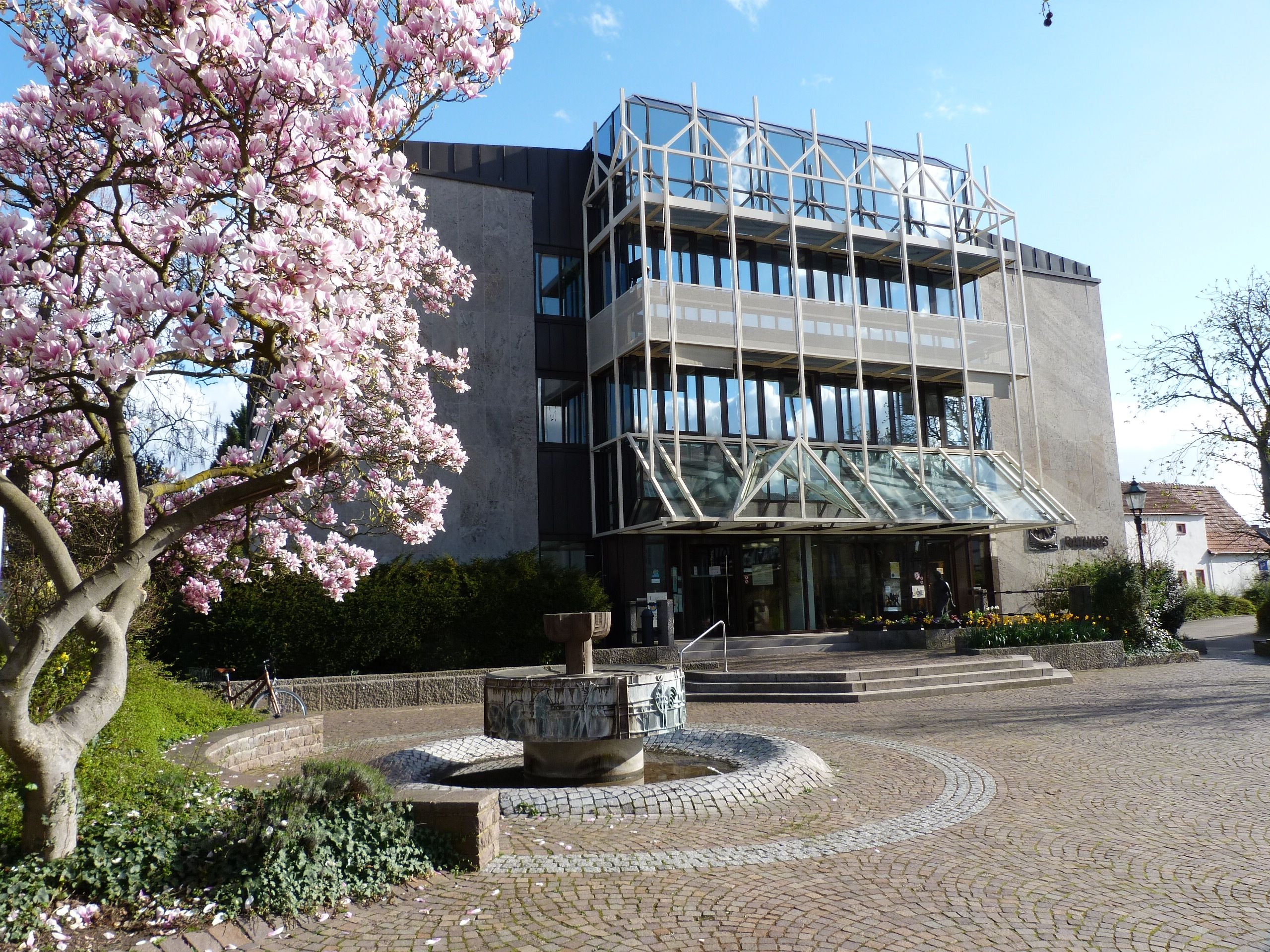 im Vordergrund eine blühende Magnolie und ein Brunnen, im Hintergrund ein Gebäude