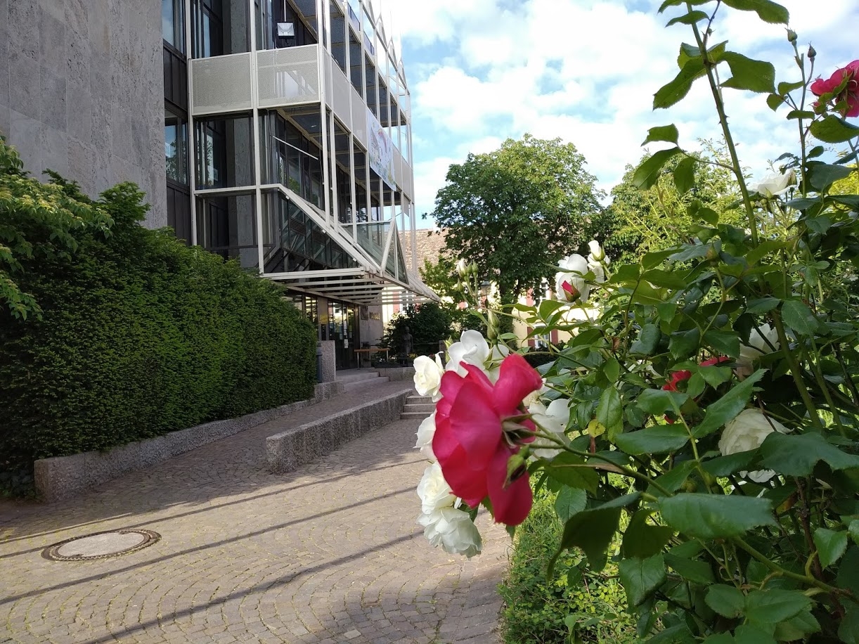 Rathaus im Sommer