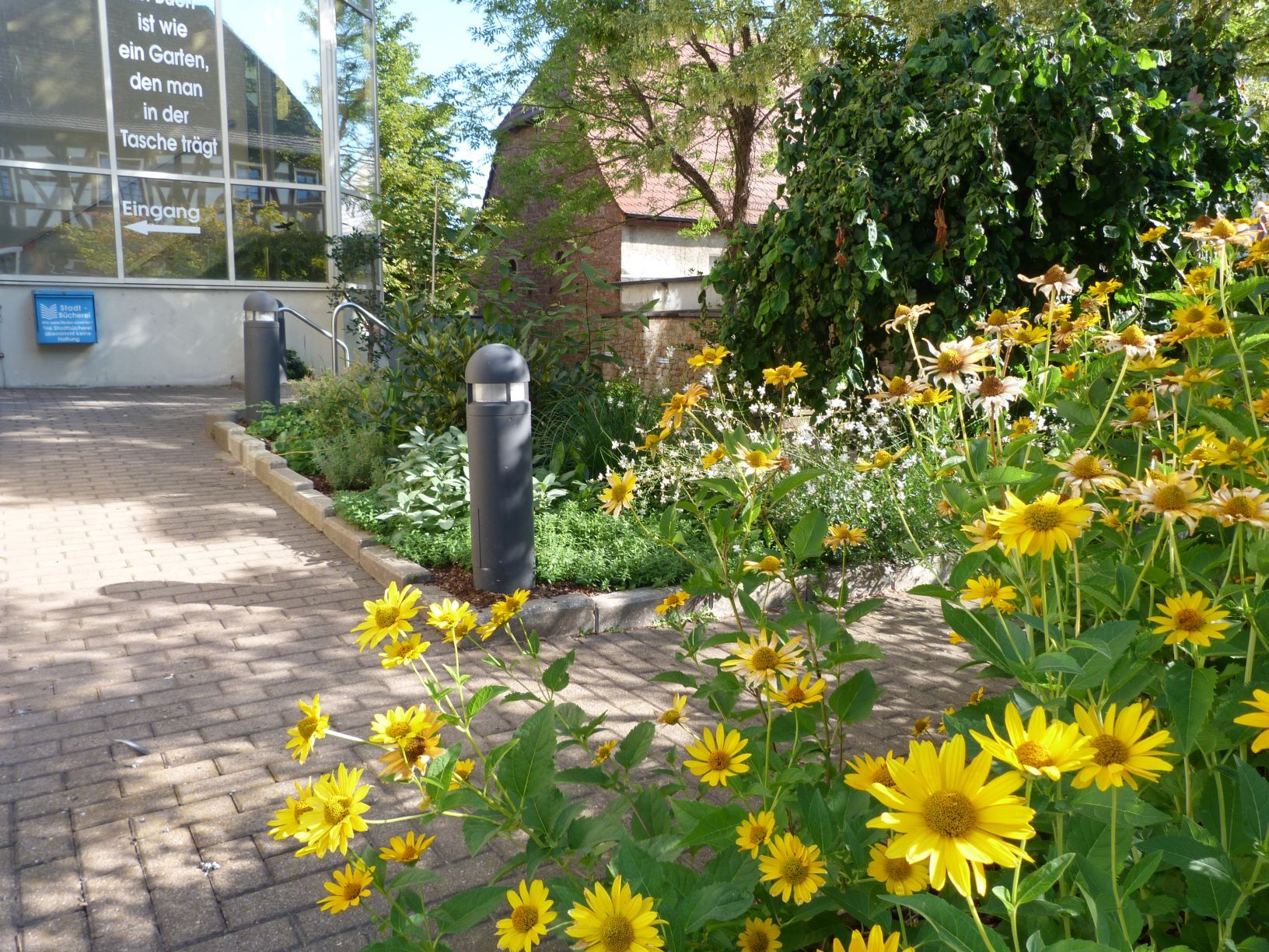 Weg zum Eingang der Stadtbücherei mit Blumen im Vordergrund