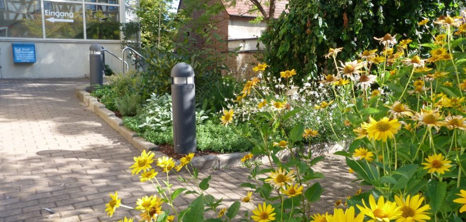 Weg zum Eingang der Stadtbücherei mit Blumen im Vordergrund