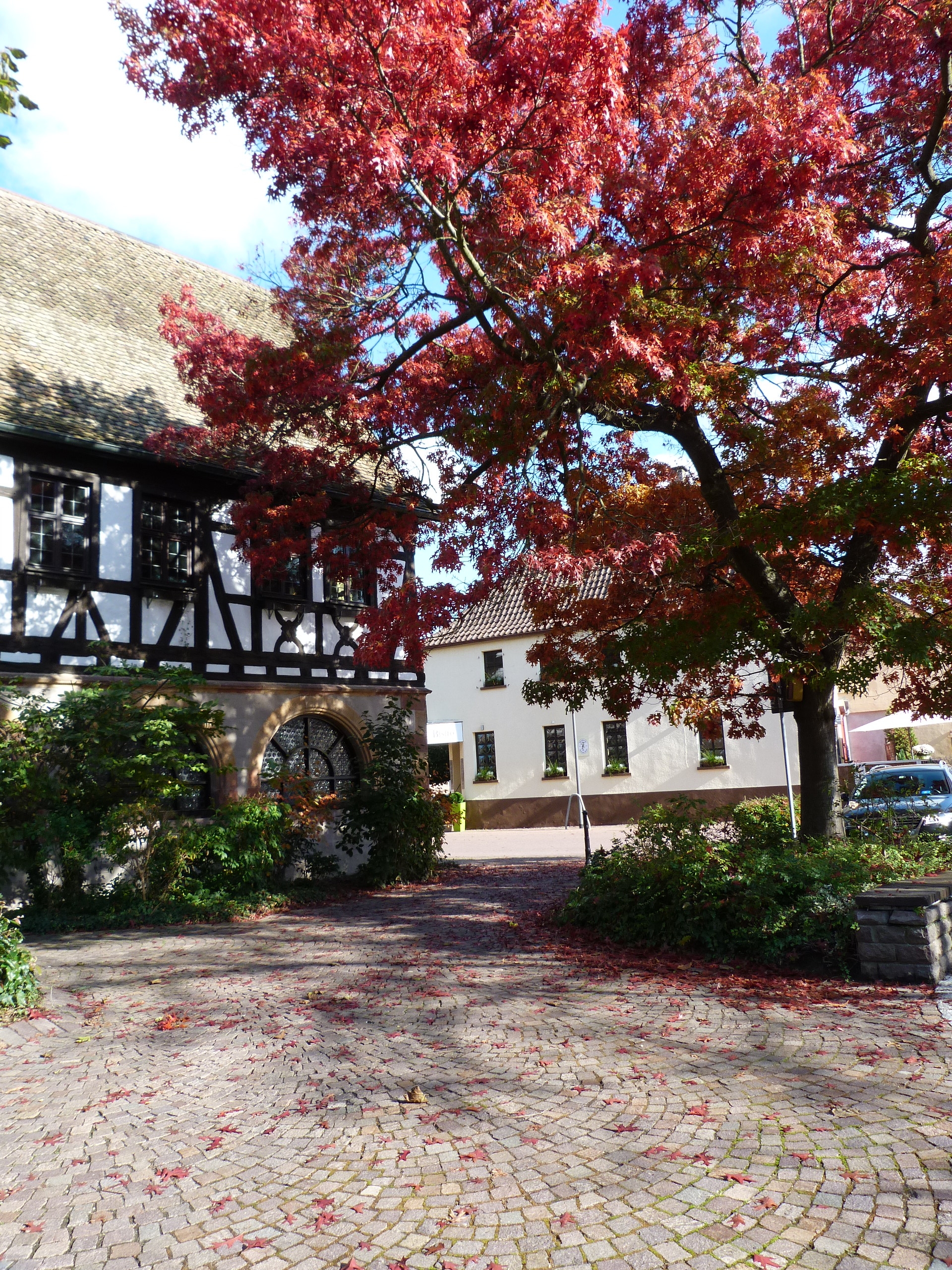 Altes Rathaus im Herbst