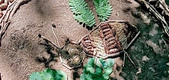 aus Waldmaterialien gelegtes Bild
