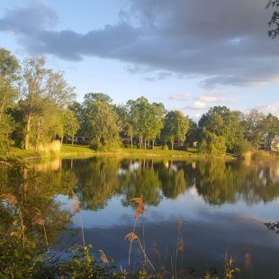 Blick auf Bahnweiher