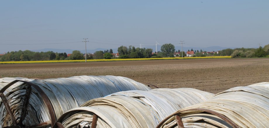 Feld 