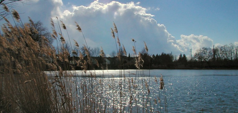 Blick auf Bahnweiher
