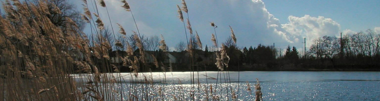 Bahnweiher.jpg
