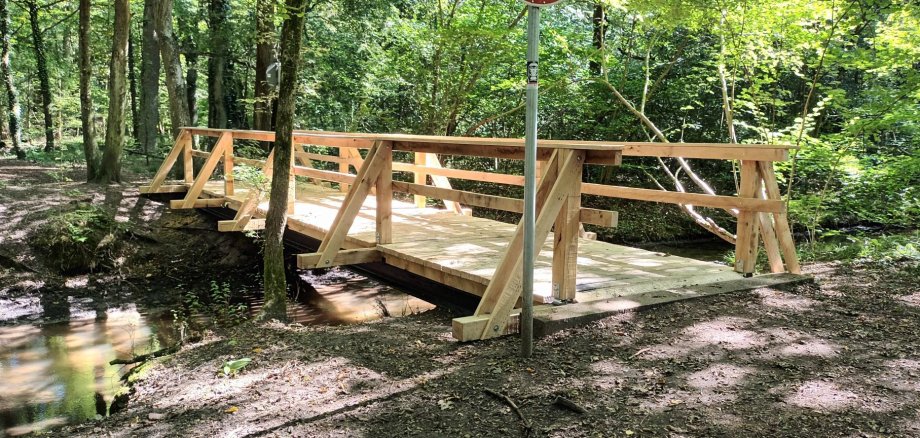 neue Brücke im Wald