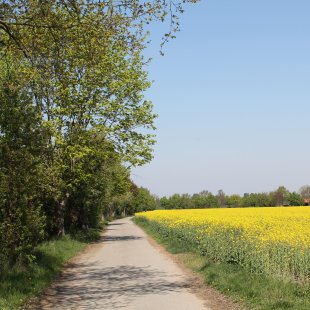 Wanderweg geteert.JPG