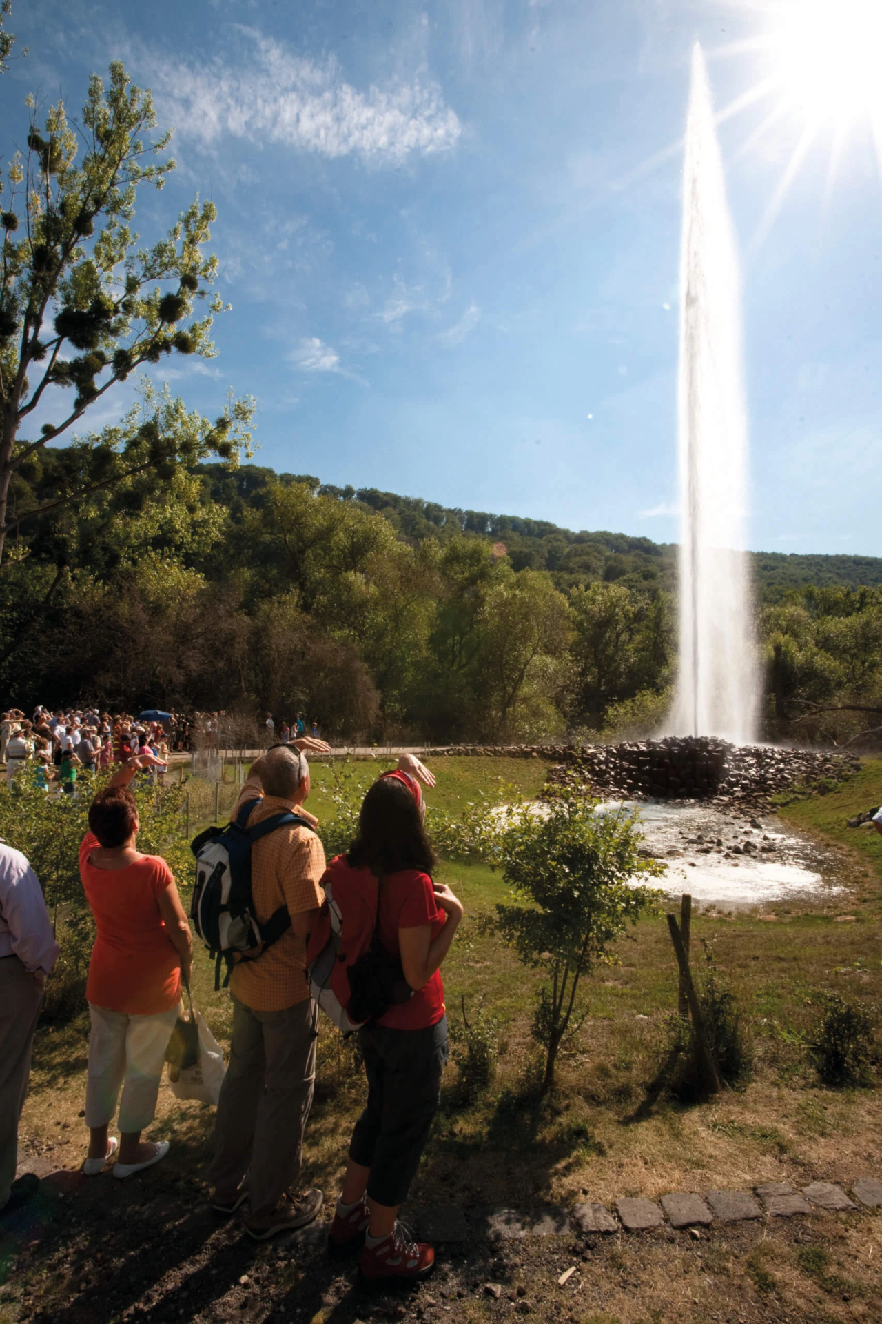 Bild vom Geysir in Andernach