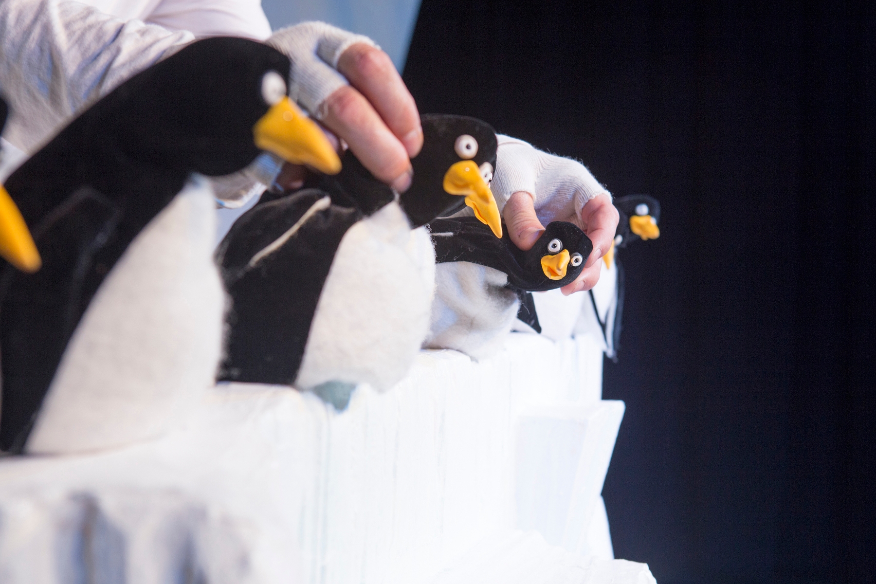 Bild zum Theaterstück "Alles Pinguin oder was"
