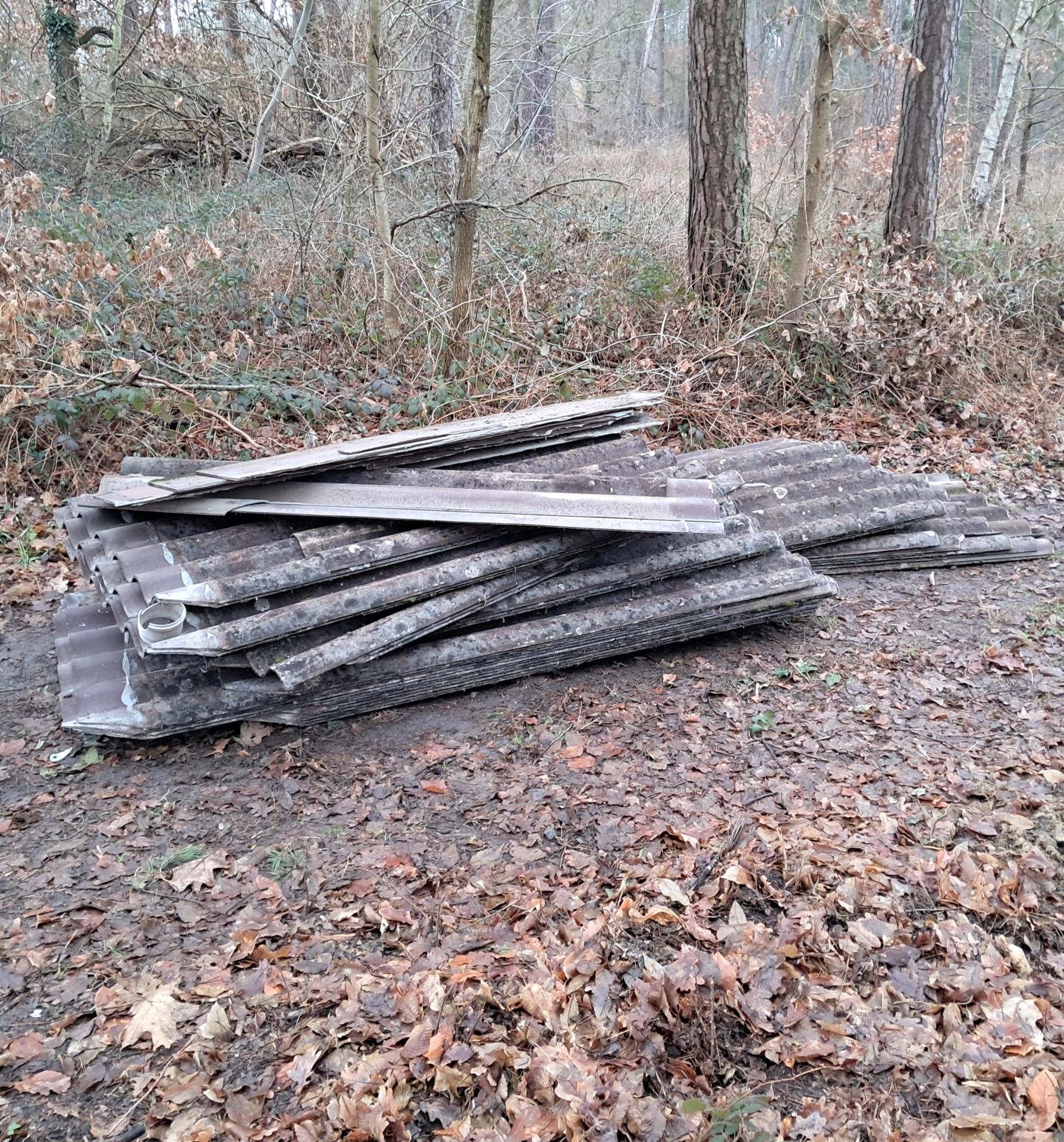 Eternitplatten auf Waldboden