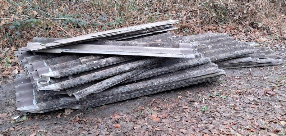 Eternitplatten auf Waldboden