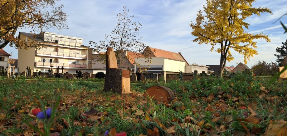 Holzstühle im Stadtpark