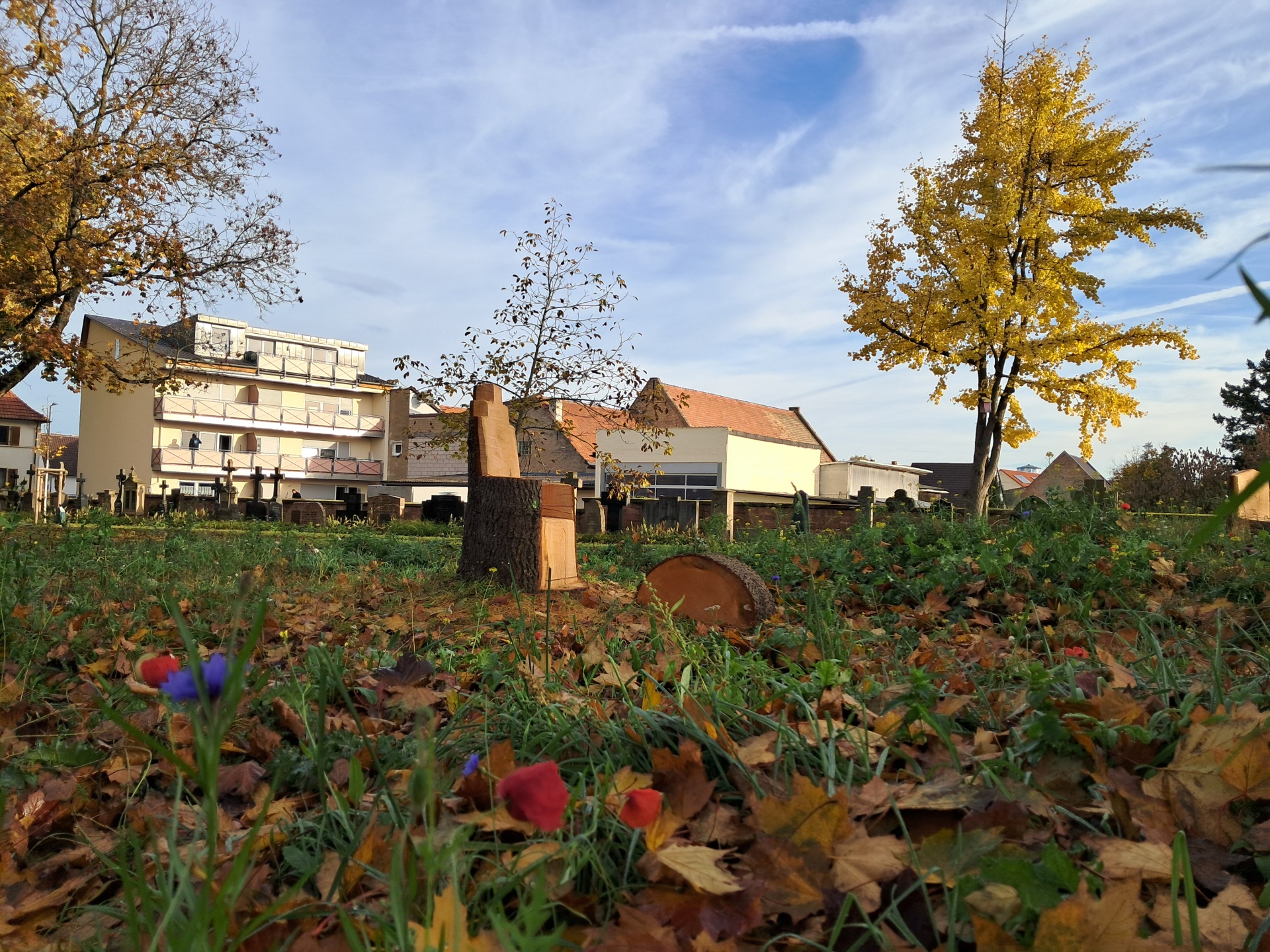 Holzstühle im Stadtpark
