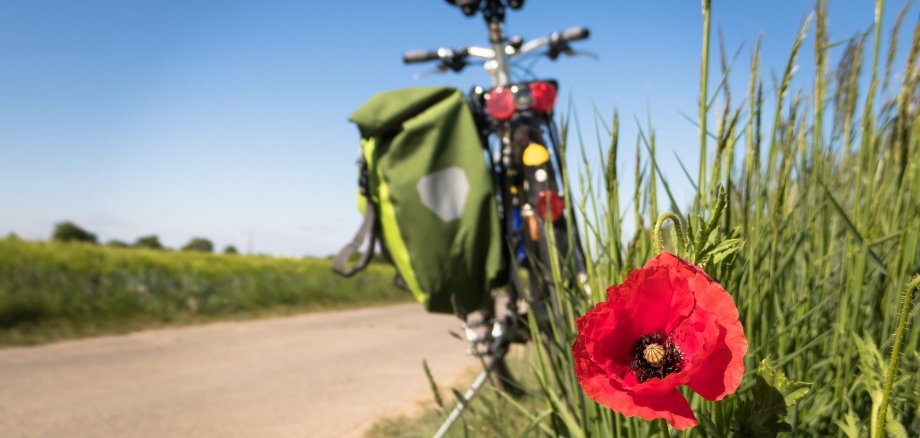 Sport, Fahrradfahren