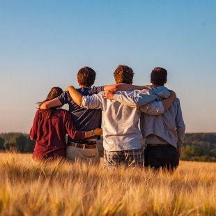Freunde Freunde