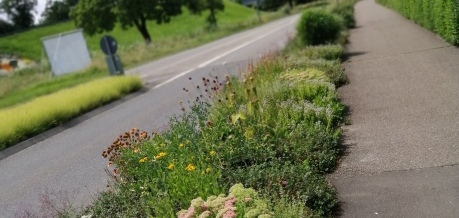 Grünstreifen zwischen Straße und Weg