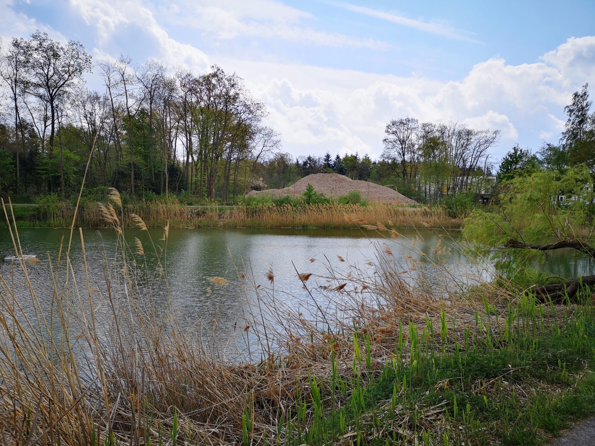 Uferböschung vor einem Weiher