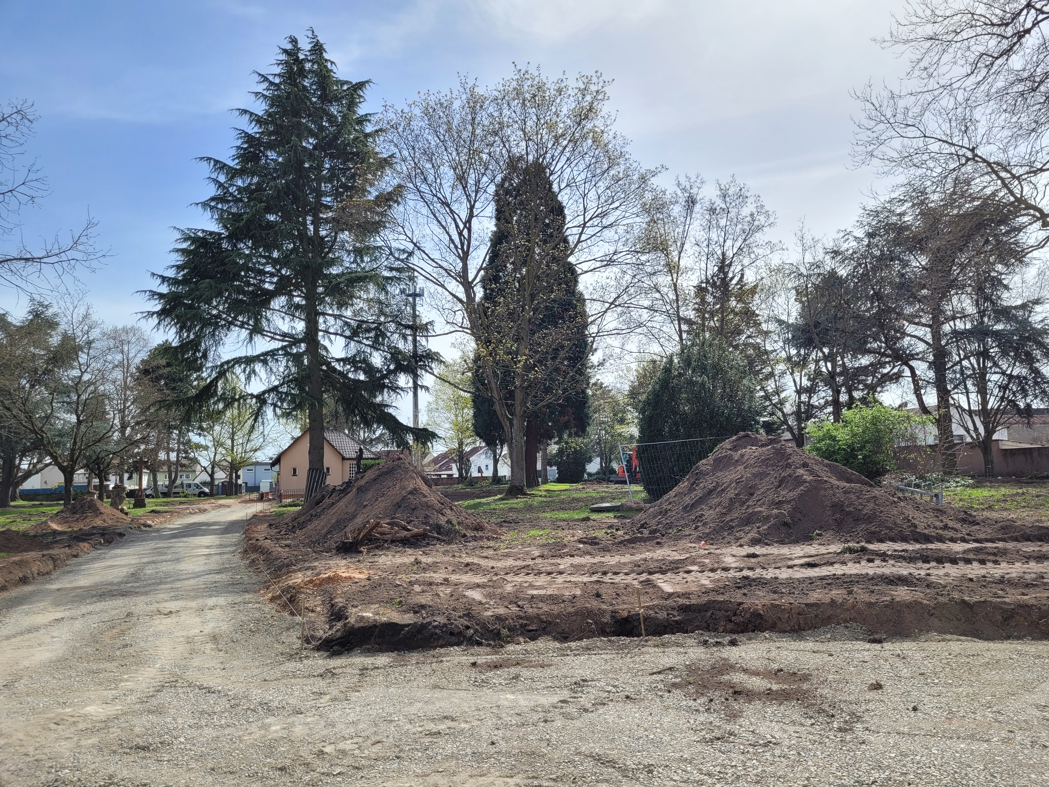 Neue Wege im Stadtpark