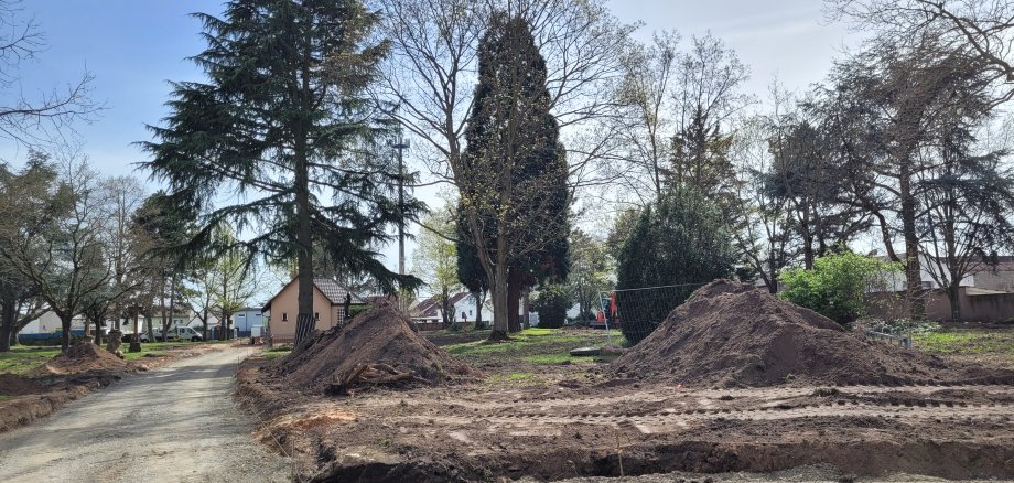 Neue Wege im Stadtpark