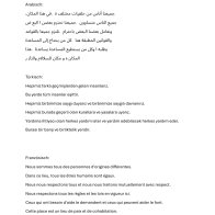 Übersetzung der Leitlinien zum respektvollen Miteinander