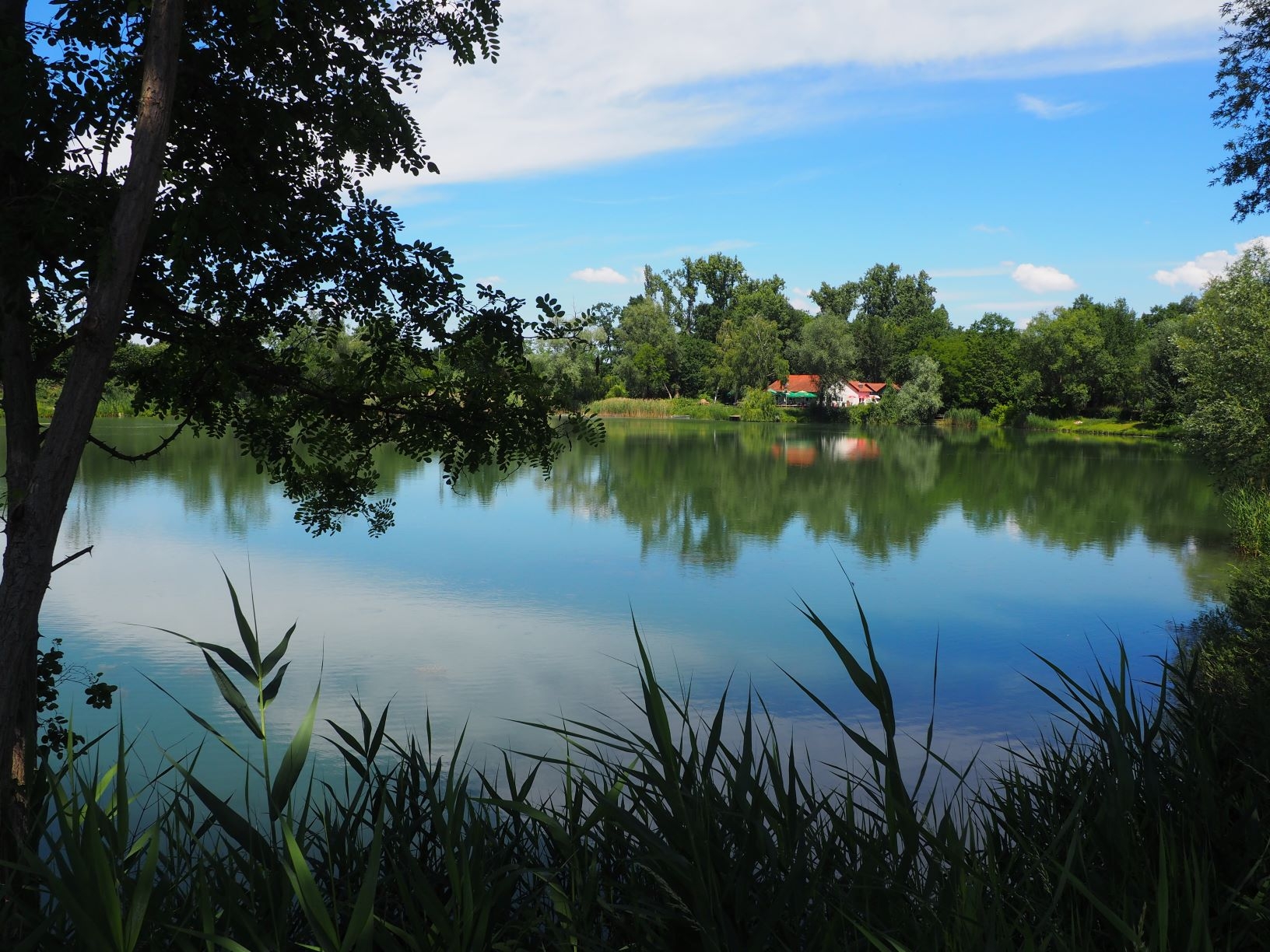 Bahnweiher Bahnweiher