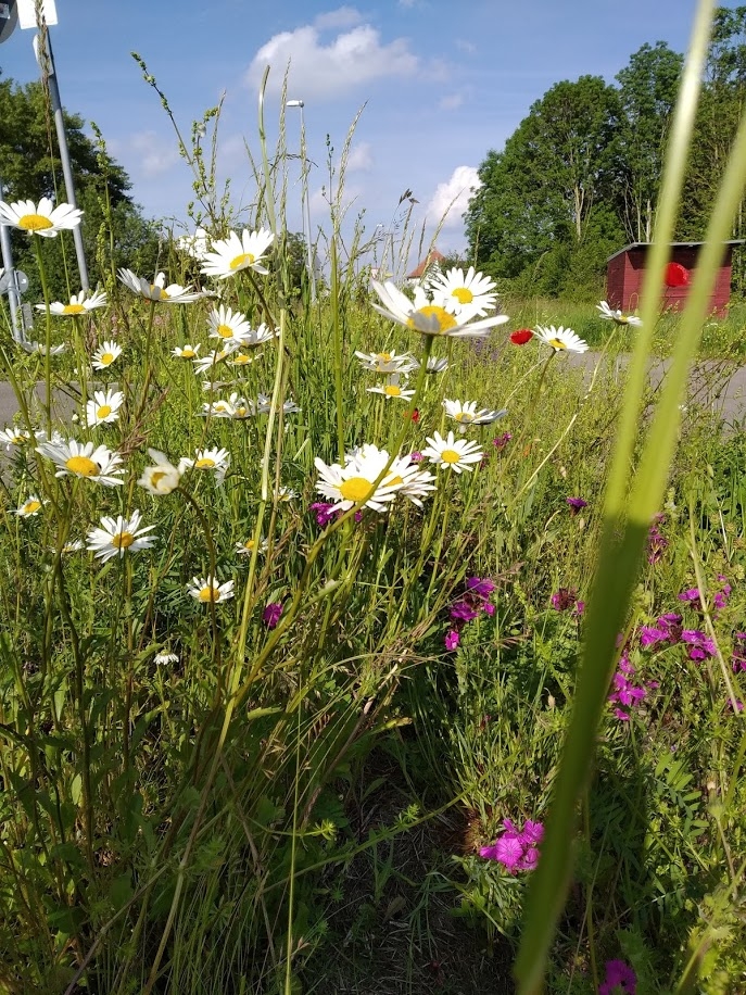Klimaschutzmanagerin Nicole Julier