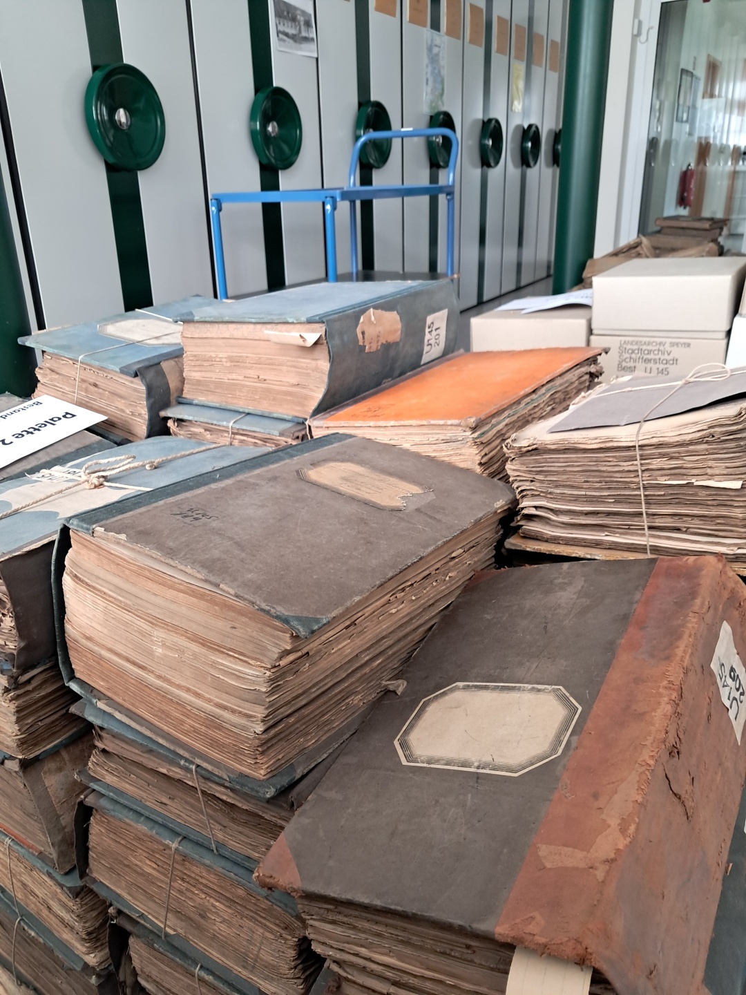 Alte Bücher im Vordergrund, im Hintergrund Rollregale