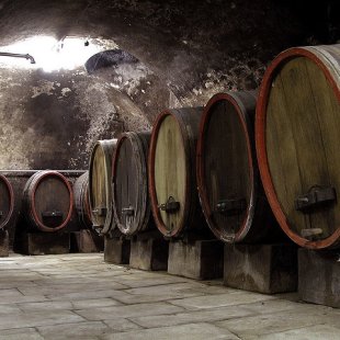 Weinkeller Weinkeller