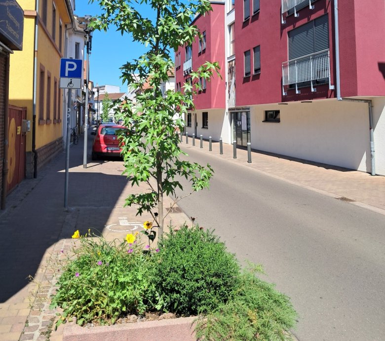 Pflanzkübel in der Hauptstraße