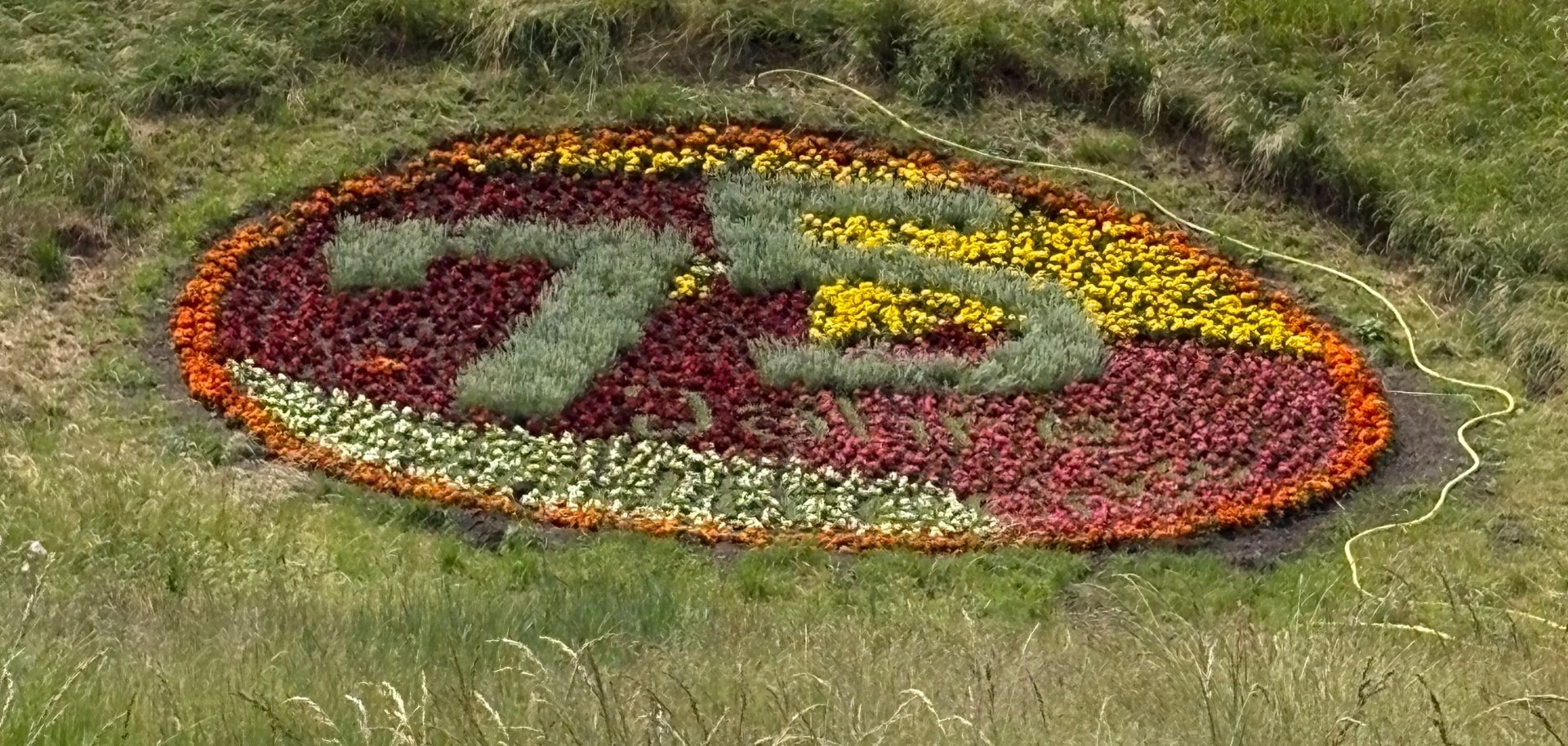 Blumenkreisel zum Jubiläum 75 Jahre Stadtrechte