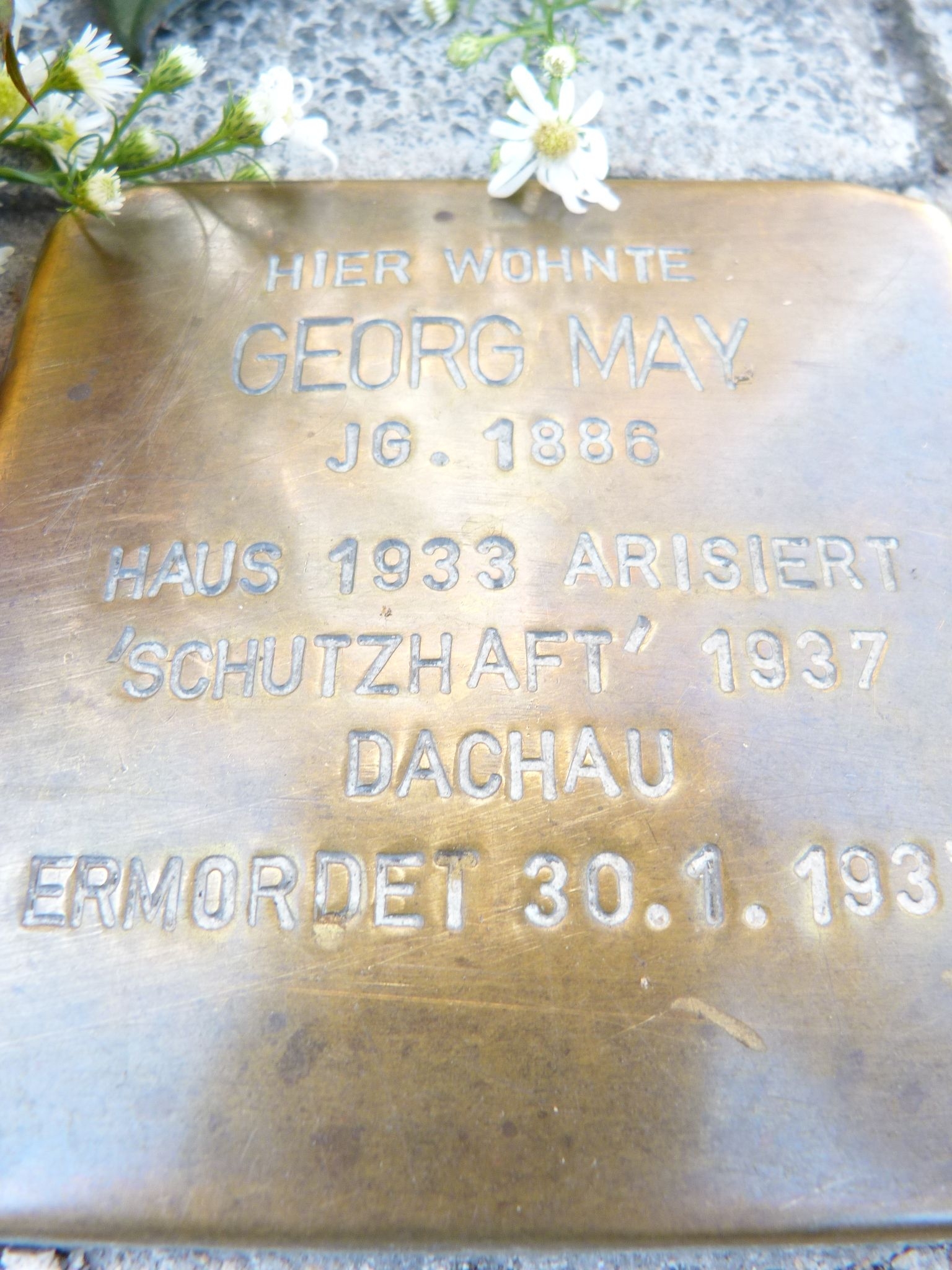 Stolperstein Stolperstein