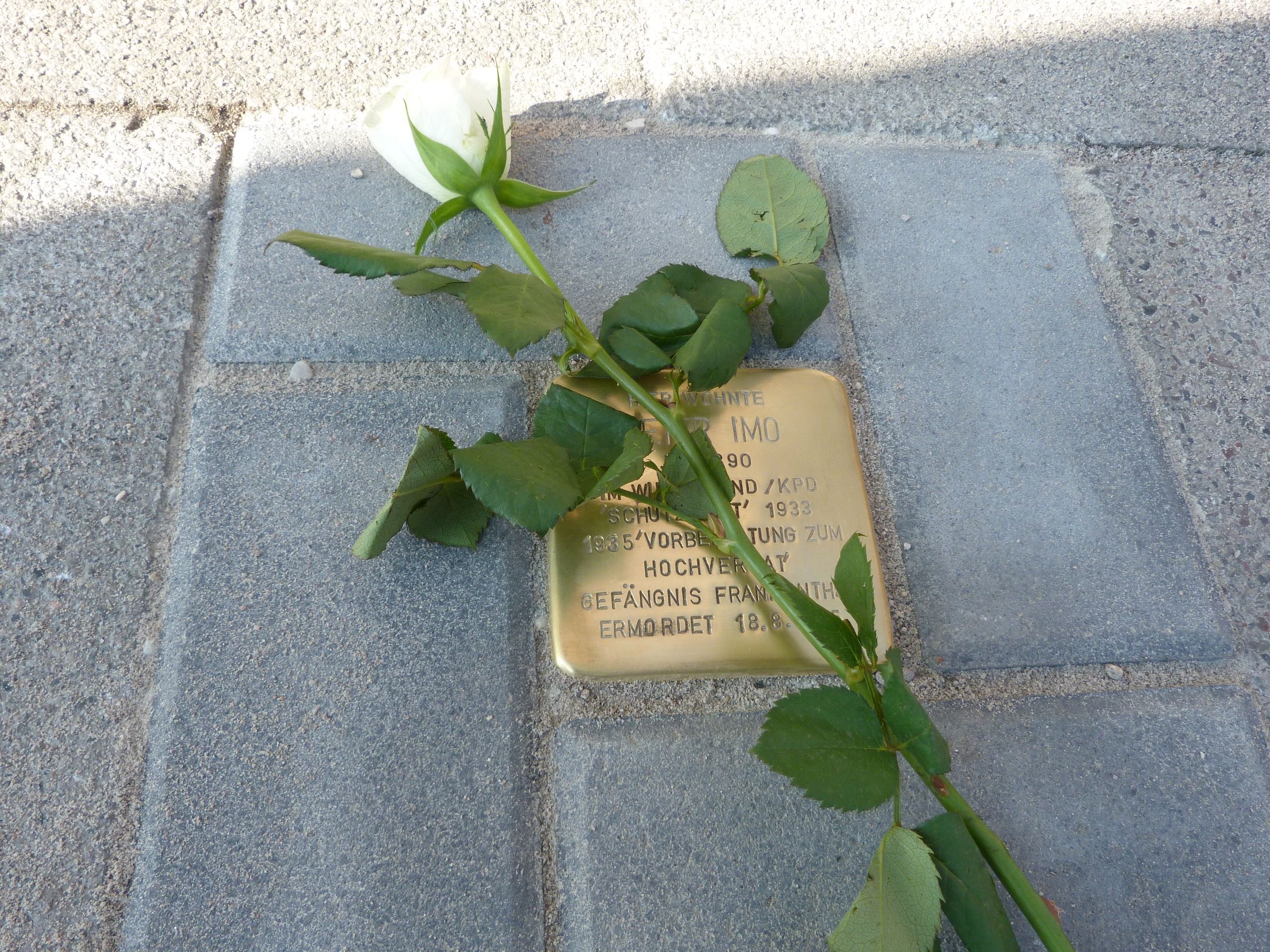 Stolperstein Imo Stoplersteine 2016