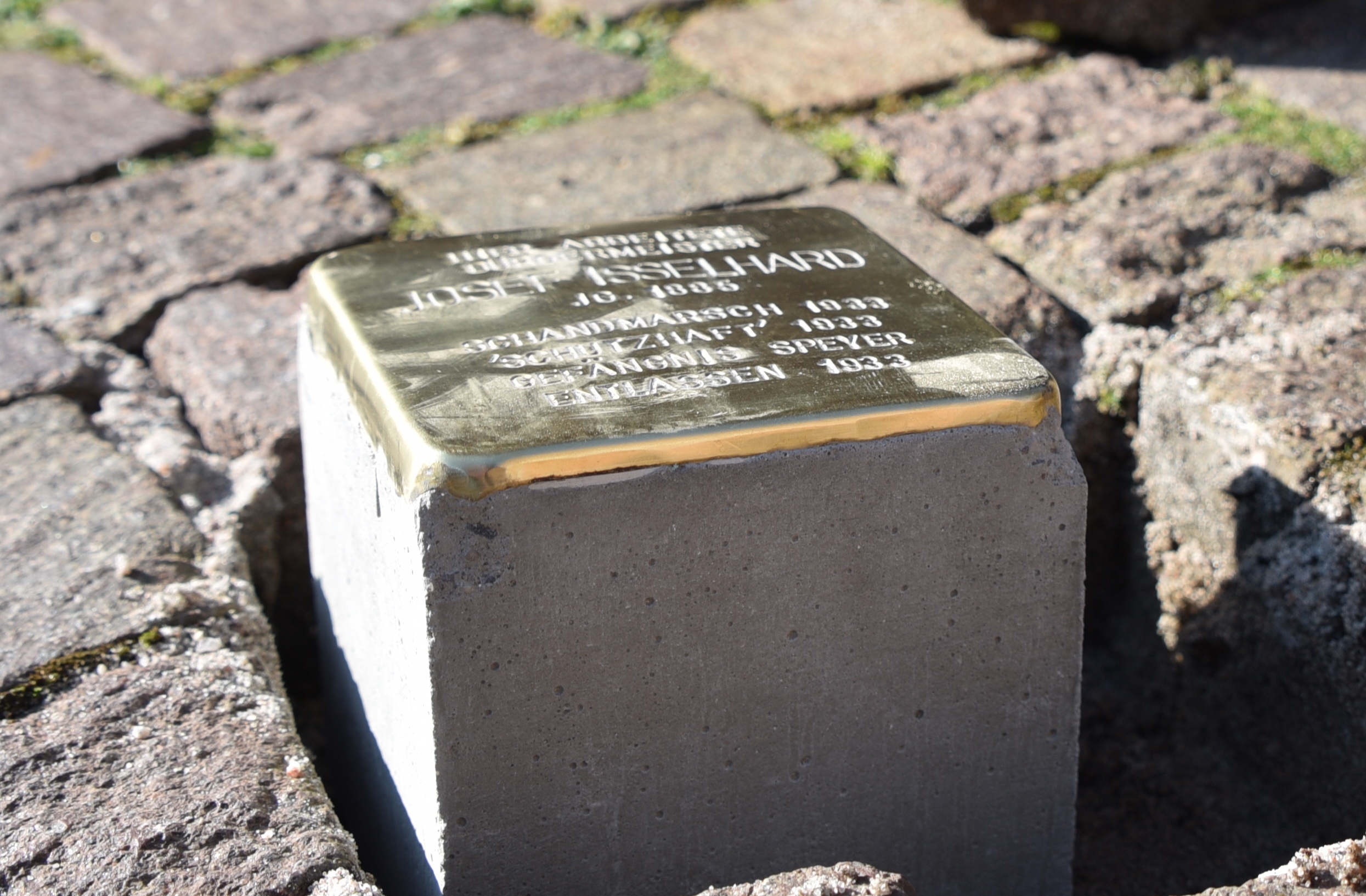 Stolperstein Stoplersteine 2016