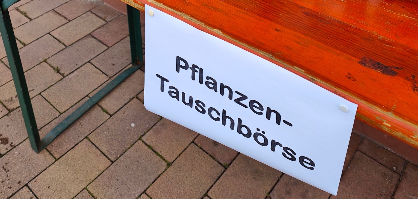 Frühlingsmarkt 2025