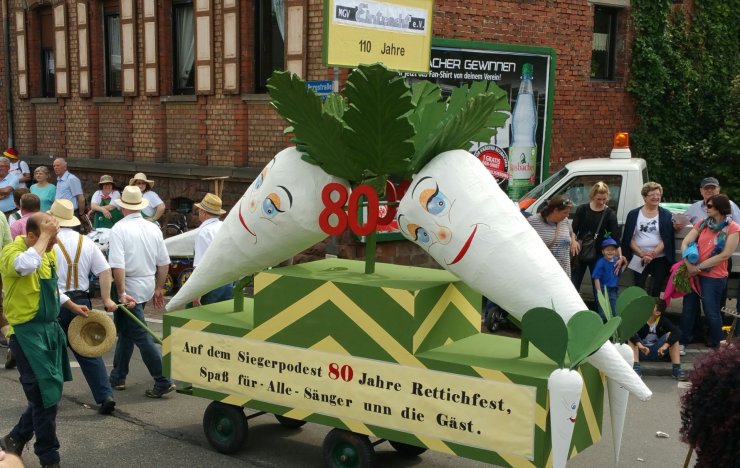 Zwei Rettiche Rettichfestumzug 2016