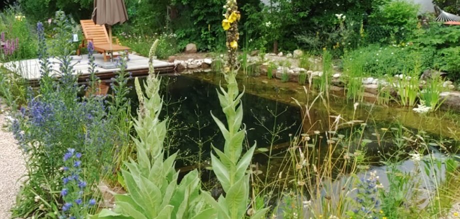 Impressionen Tag der offenen Gartentür