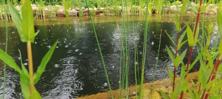 Impressionen Tag der offenen Gartentür