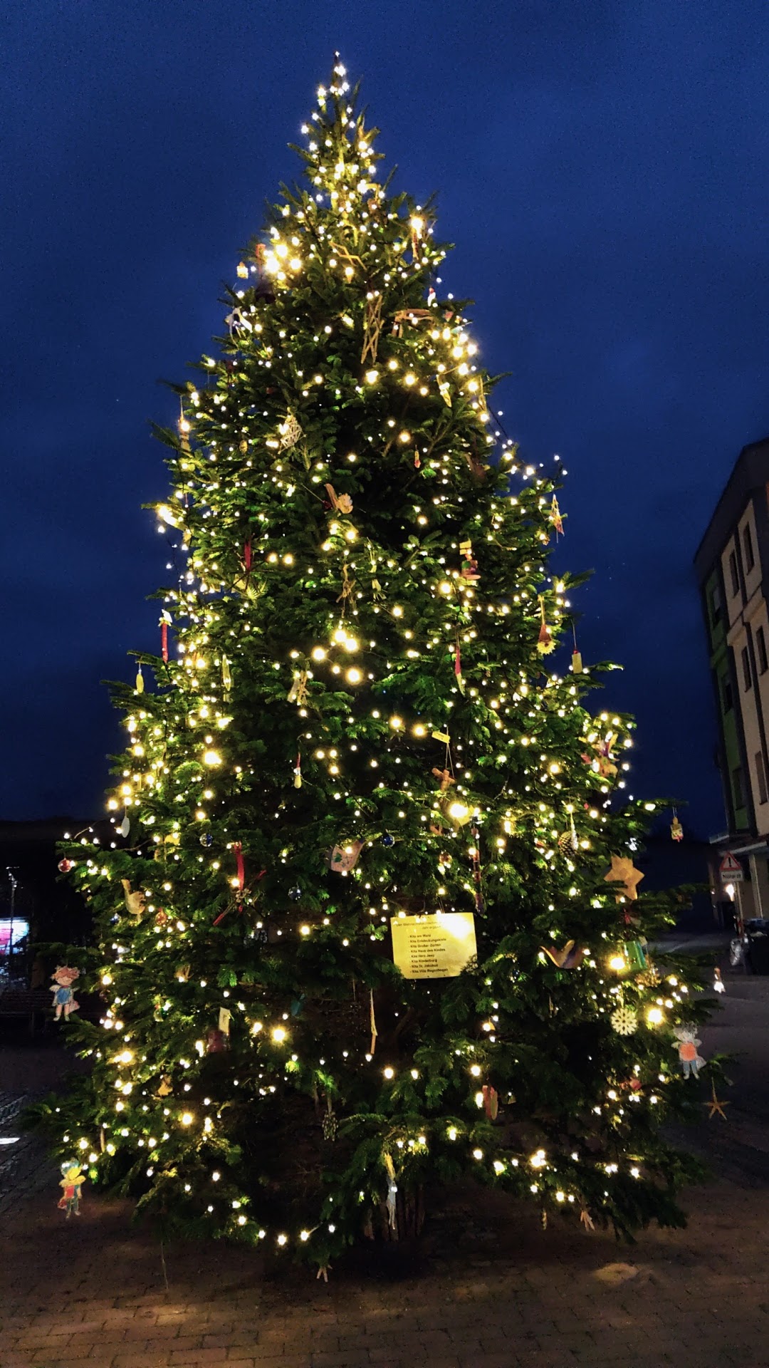 Großer Tannenbaum auf dem Schillerplatz im dunkeln geschmückt mit Lichterketten