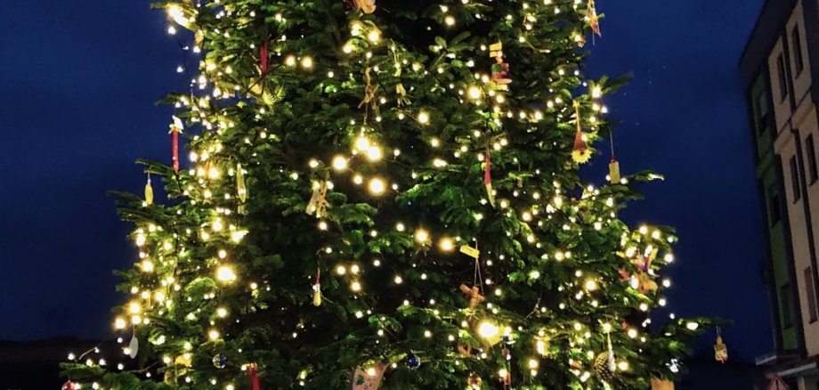 Großer Tannenbaum auf dem Schillerplatz im dunkeln geschmückt mit Lichterketten